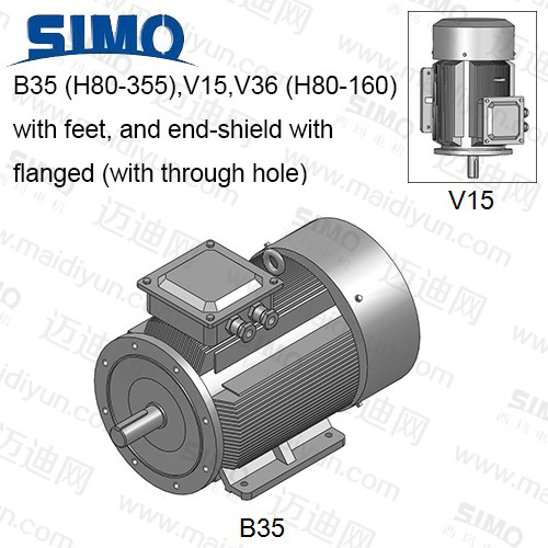 YE2(IP55)系列-機(jī)座帶底腳、端蓋上有凸緣(帶通孔)電動(dòng)機(jī)