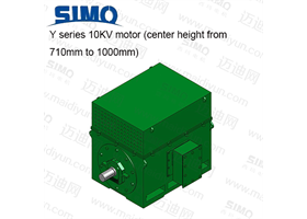 Y系列 10KV(中心高710-1000) 三相異步電動(dòng)機(jī)